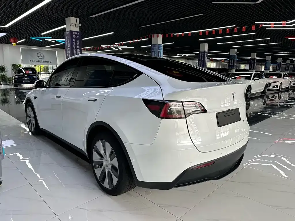 Tesla Model Y — фото 9