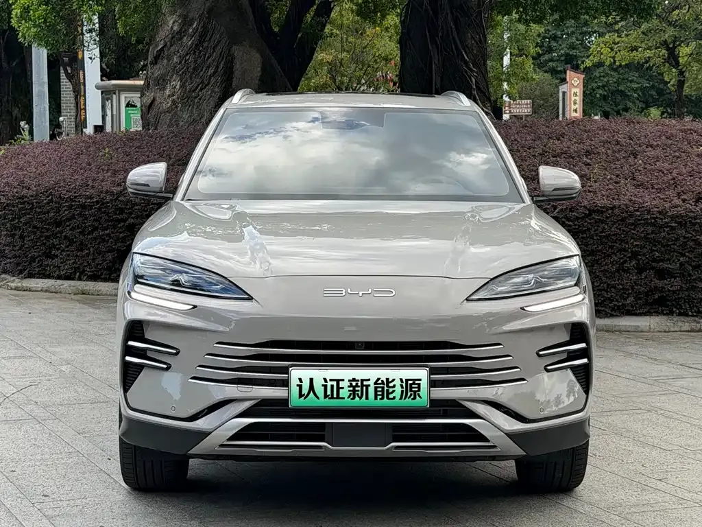 BYD PLUS New Energy — фото 9