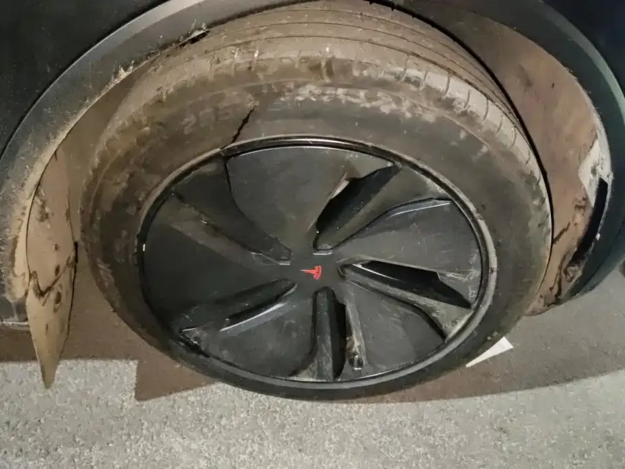 Tesla Model Y — фото 8