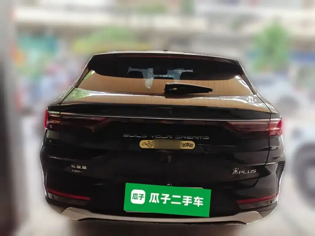 BYD PLUS New Energy — фото 5