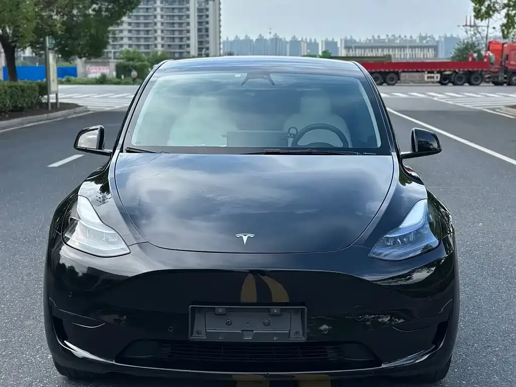 Tesla Model Y — фото 1