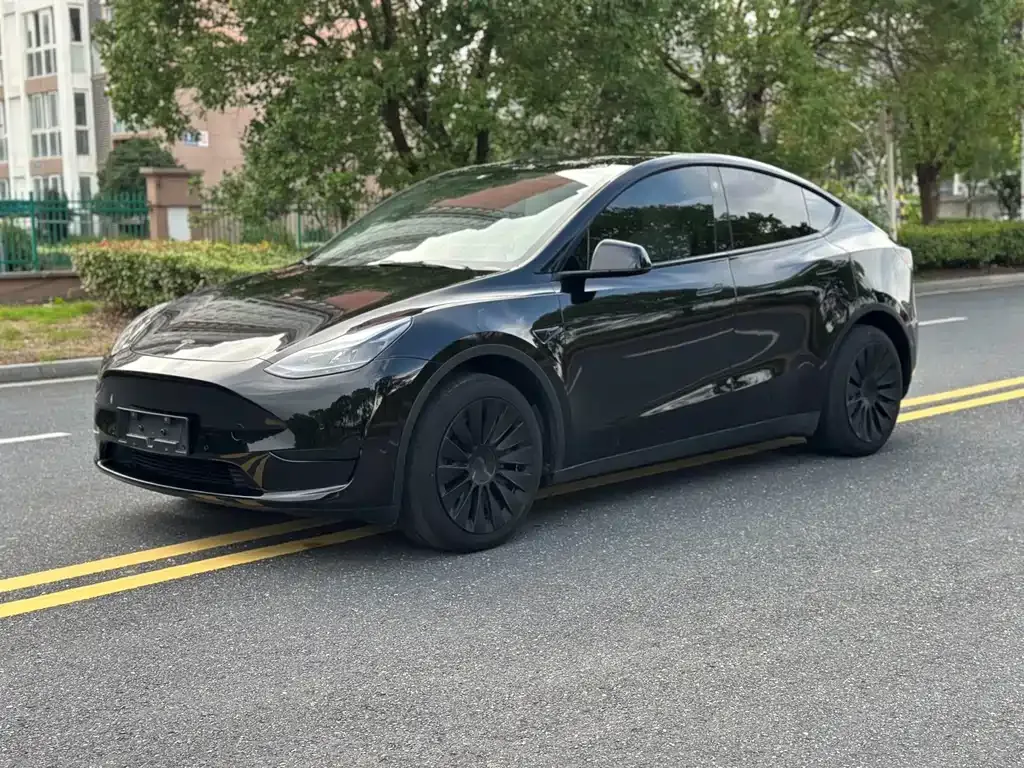 Tesla Model Y — фото 9