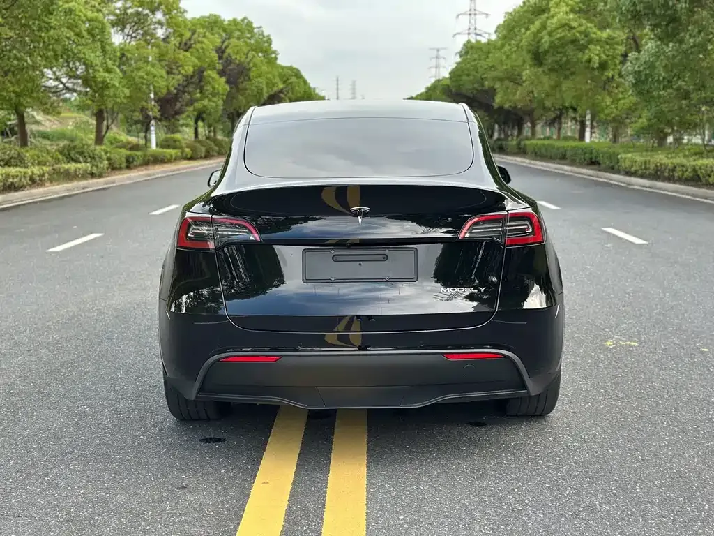 Tesla Model Y — фото 4