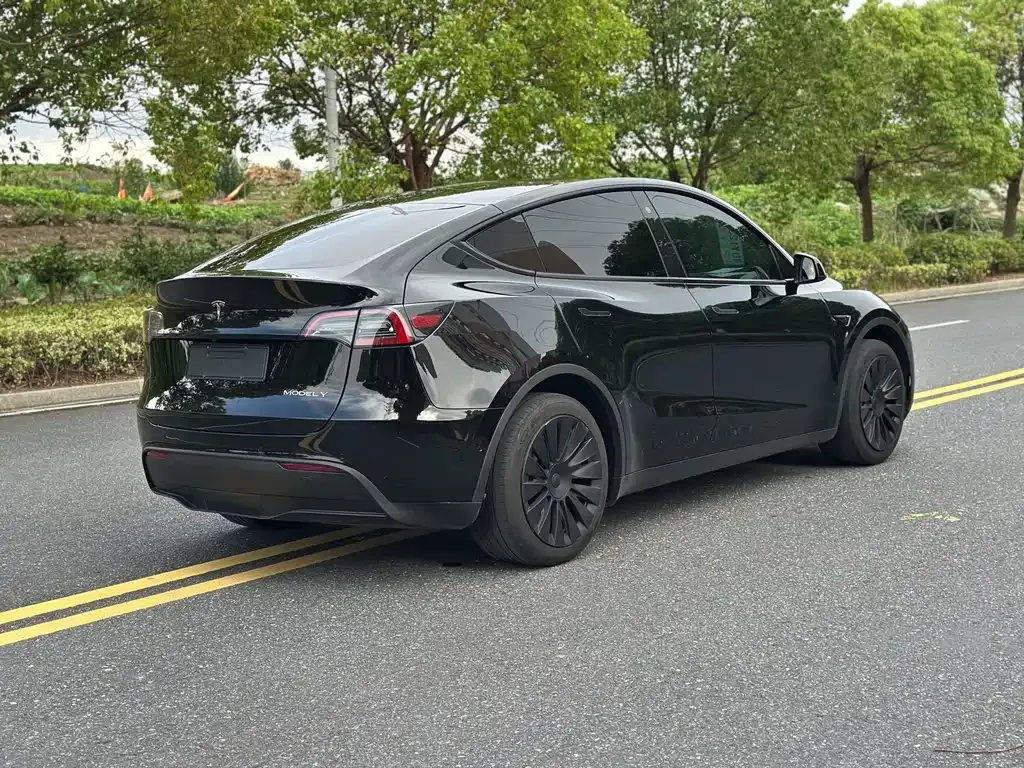Tesla Model Y — фото 8