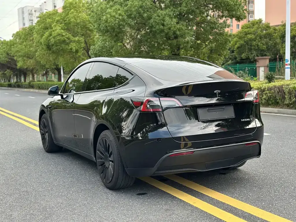 Tesla Model Y — фото 7