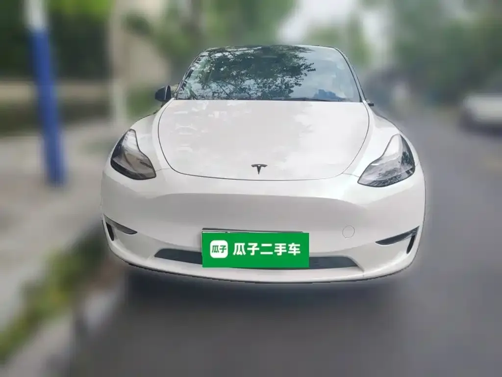 Tesla Model Y — фото 6