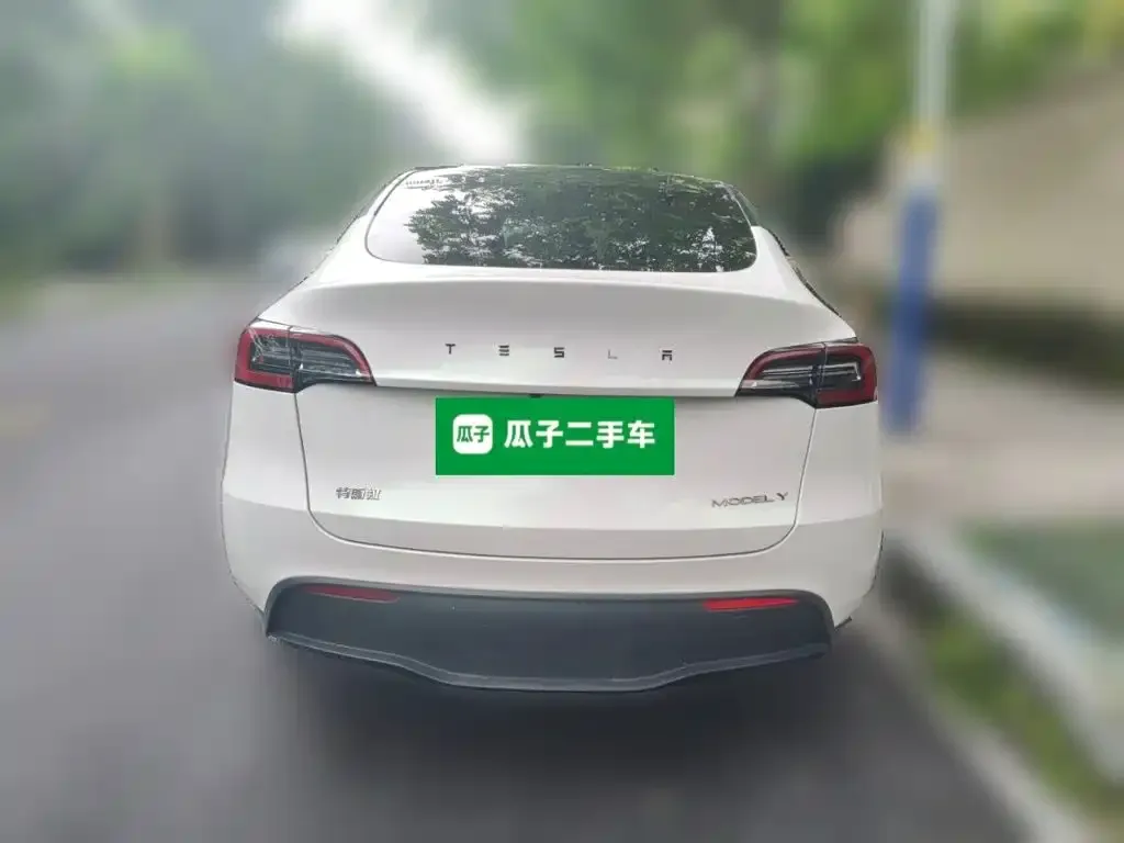 Tesla Model Y — фото 3