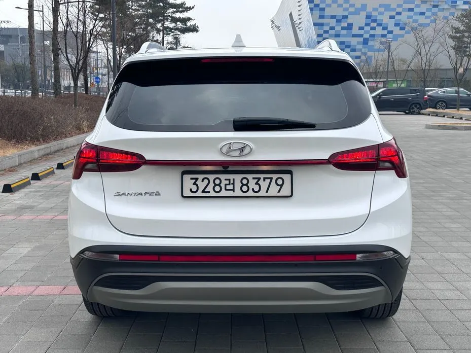 Hyundai Santafe — фото 10