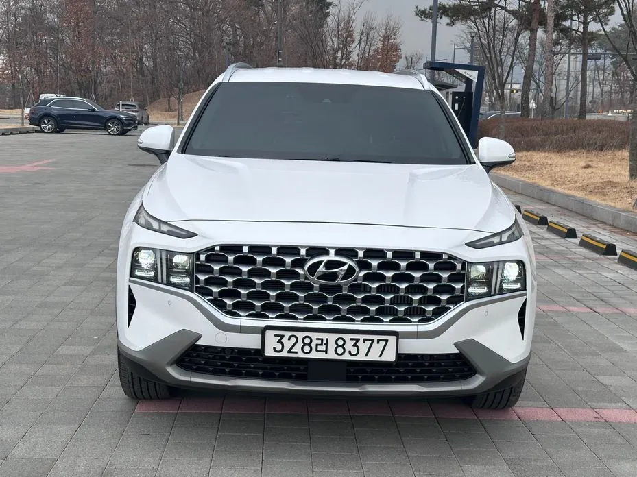 Hyundai Santafe — фото 9