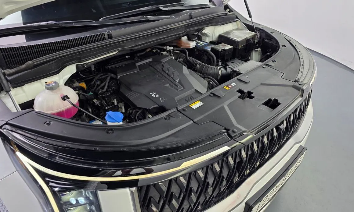 Kia Carnival — фото 10