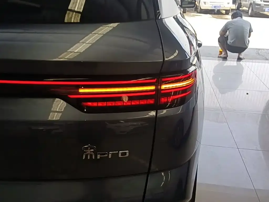 BYD Pro New Energy — фото 4