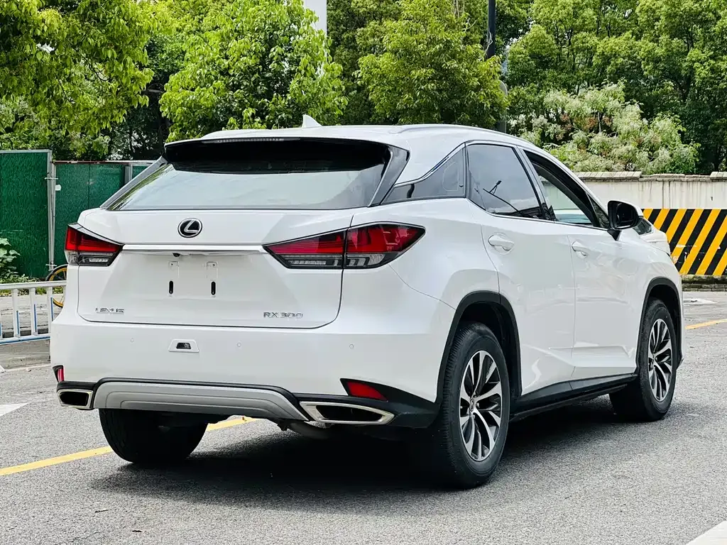 Lexus RX — фото 6