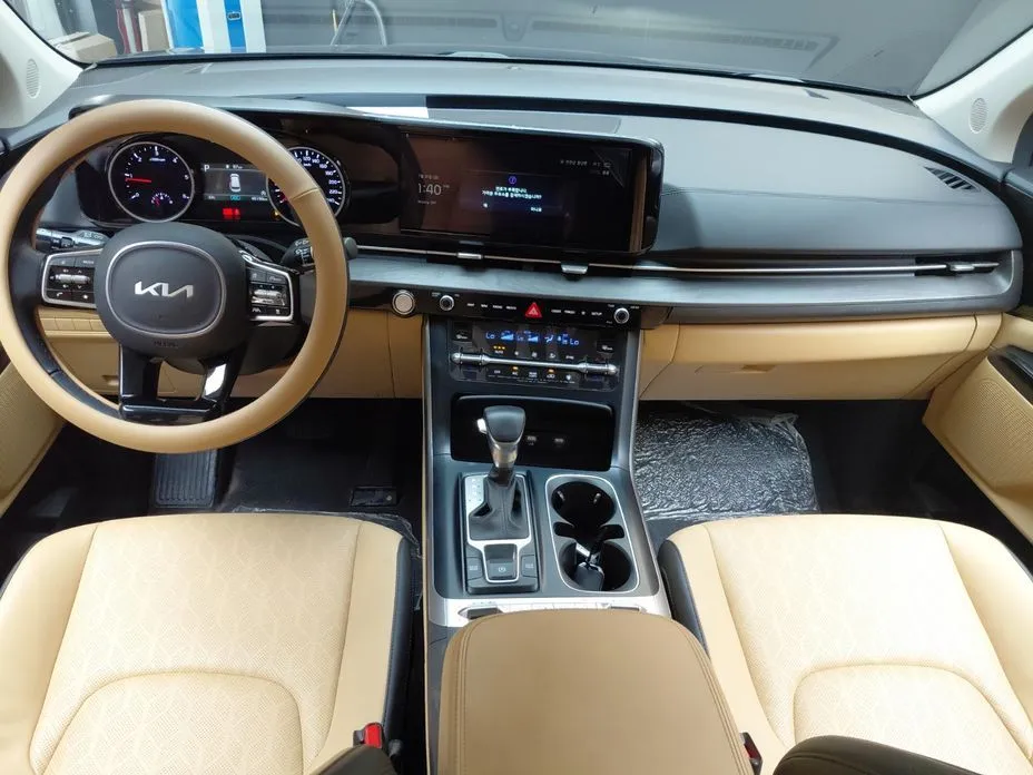 Kia Carnival — фото 10
