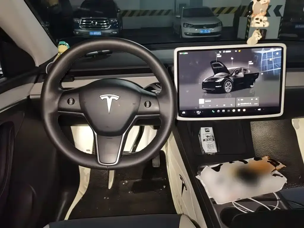 Tesla Model Y — фото 10