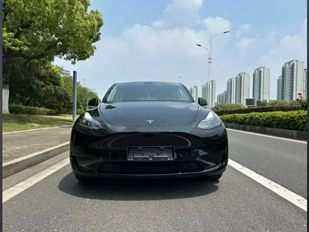 Tesla Model Y — фото 10