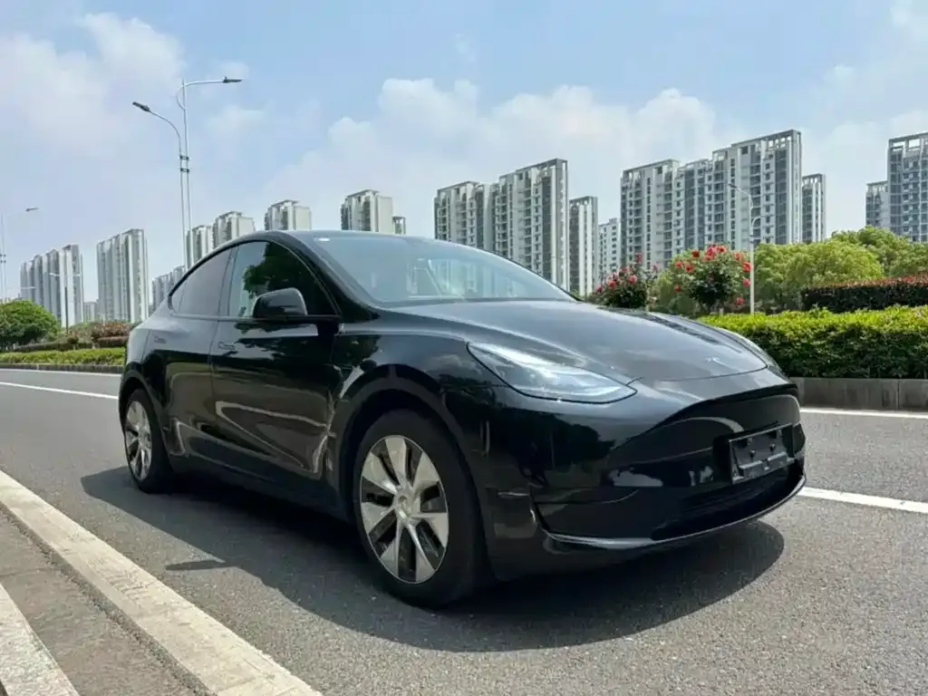 Tesla Model Y — фото 5