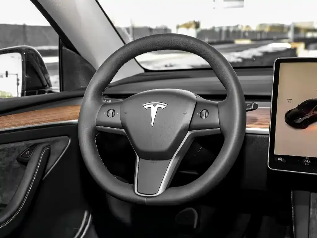 Tesla Model Y — фото 9