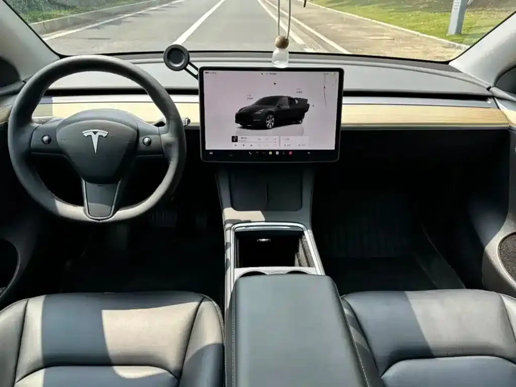 Tesla Model Y — фото 6