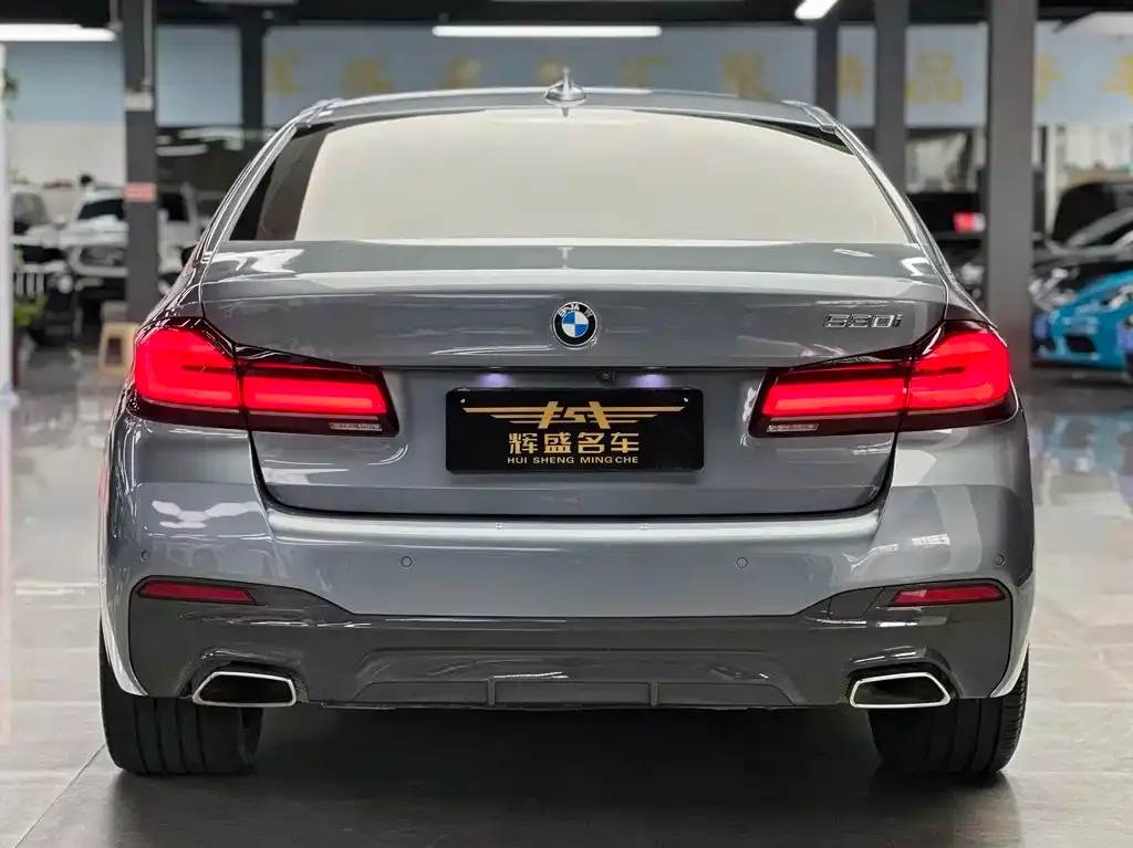 BMW 5 Series (Import) — фото 6