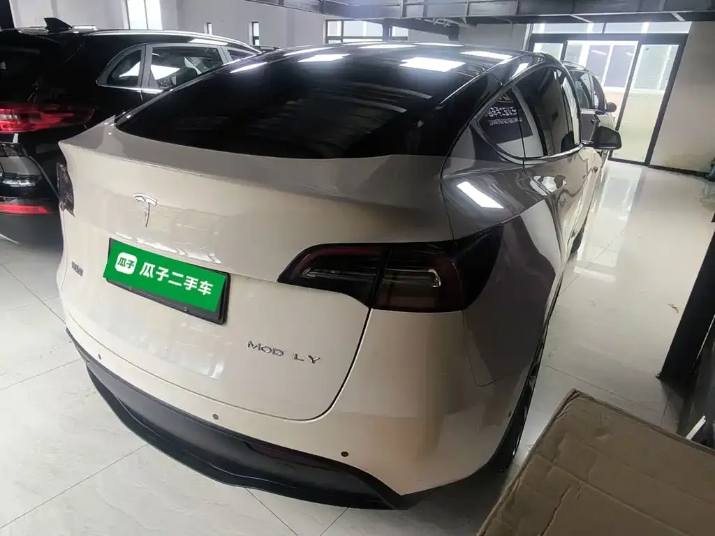 Tesla Model Y — фото 8