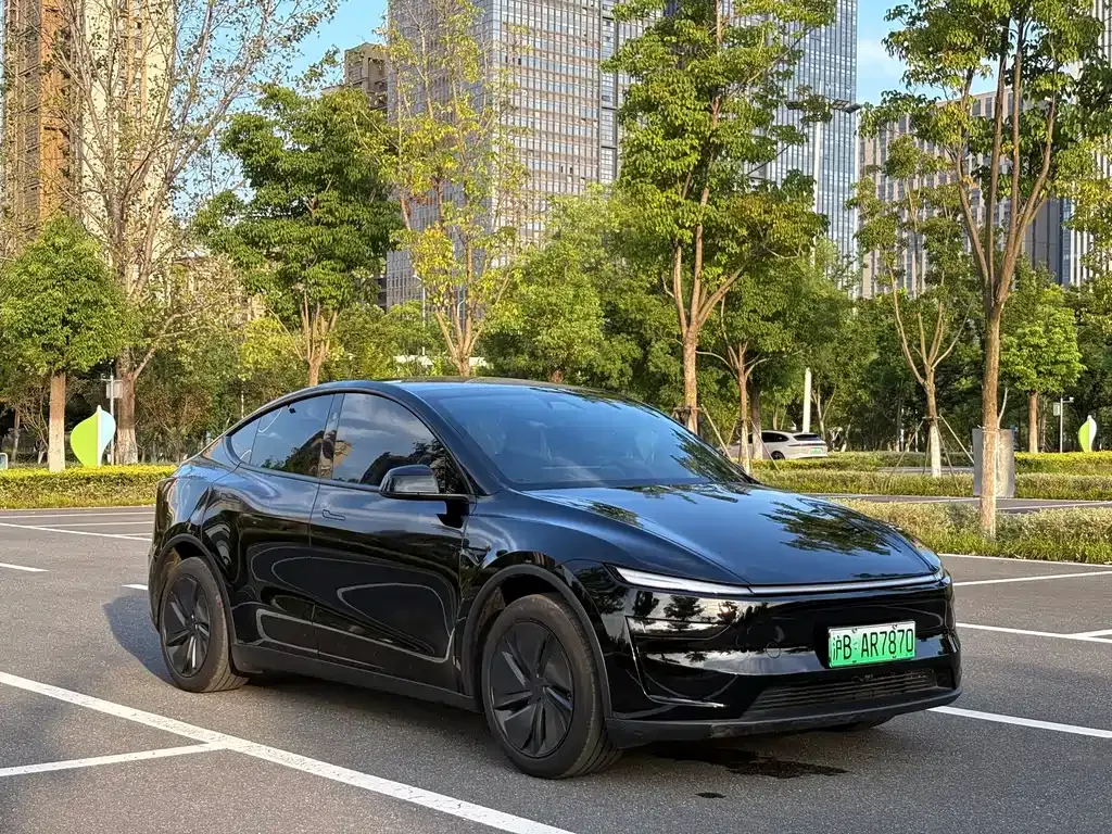 Tesla Model Y — фото 7