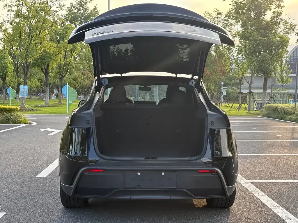 Tesla Model Y — фото 8