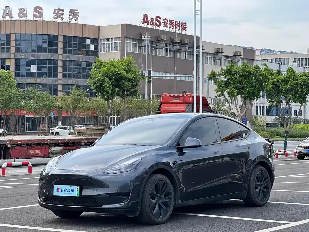 Tesla Model Y — фото 9