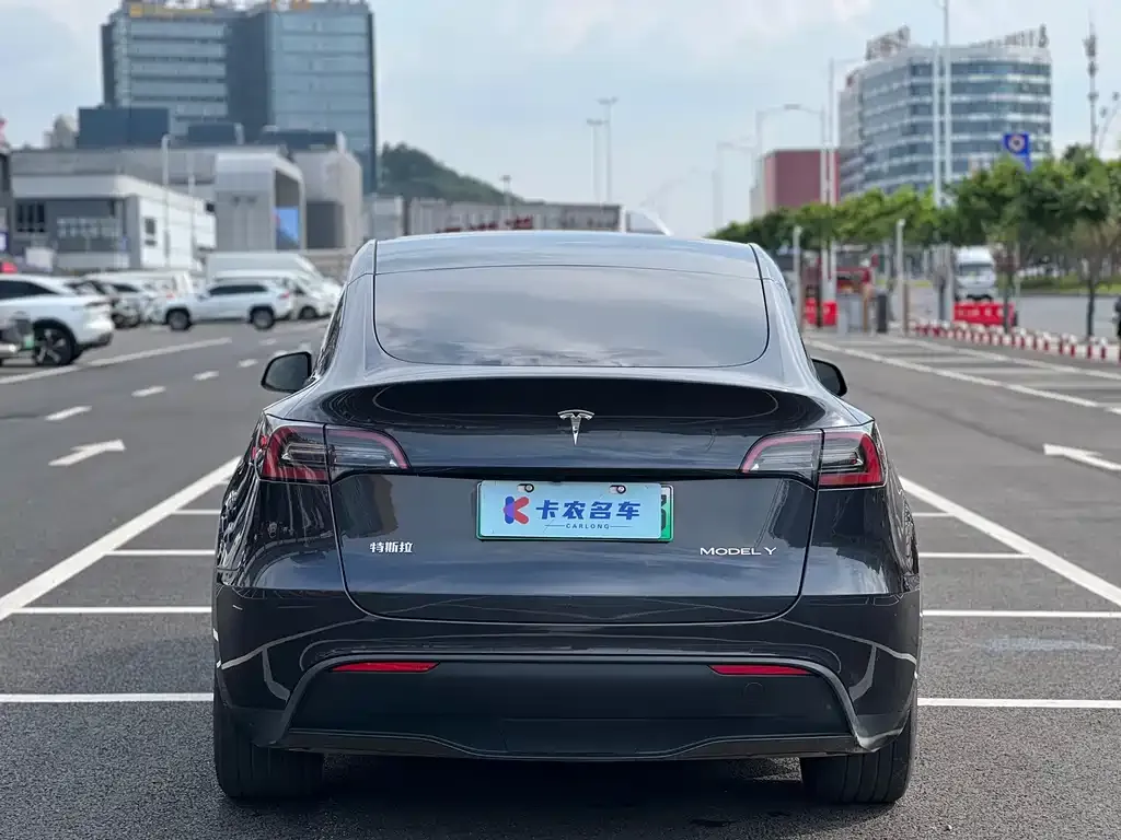Tesla Model Y — фото 5