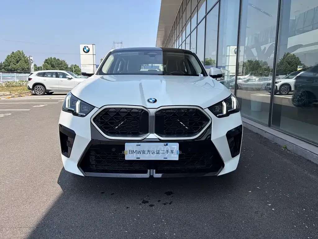 BMW X2 (Import) — фото 1