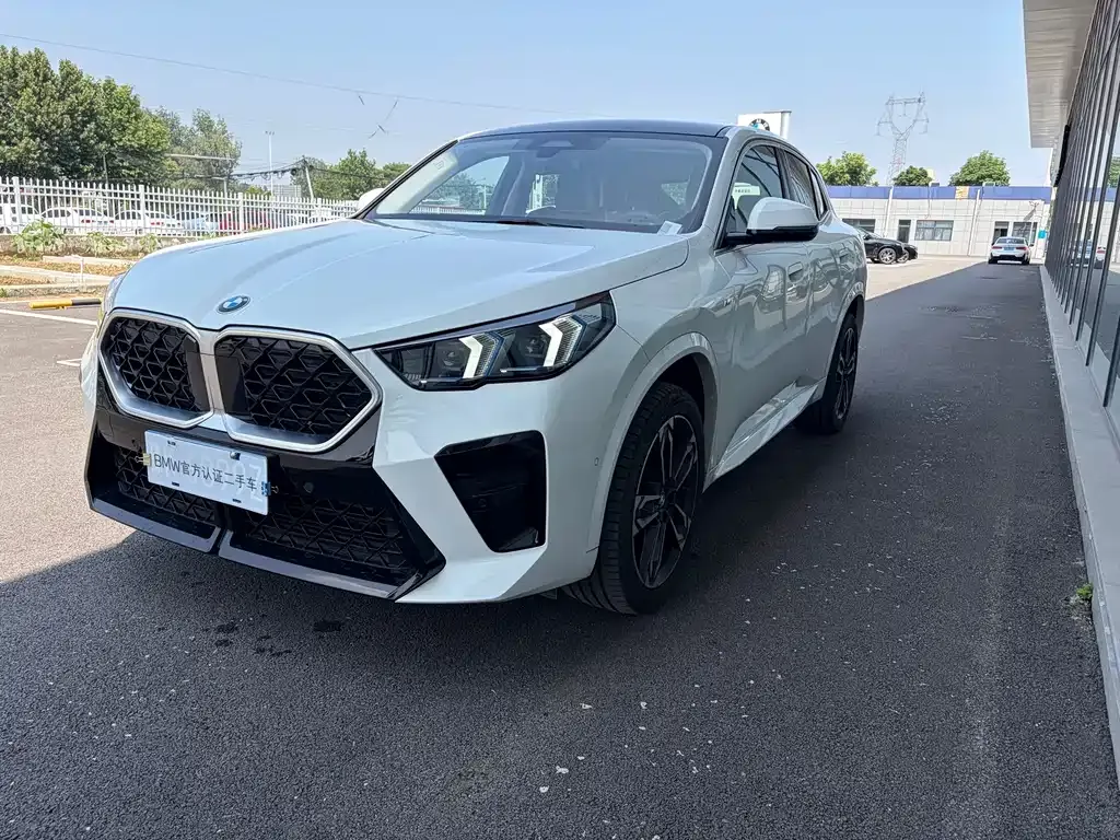 BMW X2 (Import) — фото 8