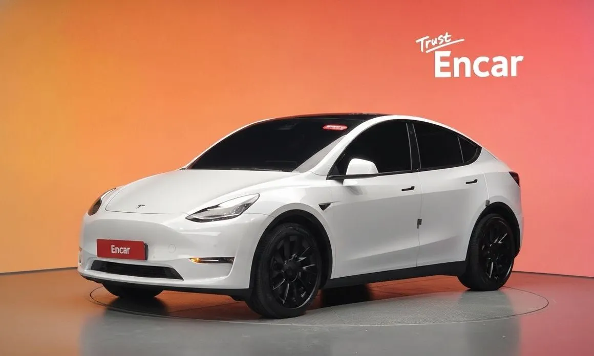 Tesla Model Y — фото 1