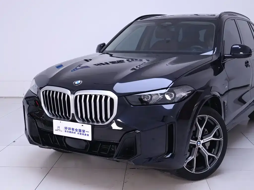 BMW X5 — фото 10
