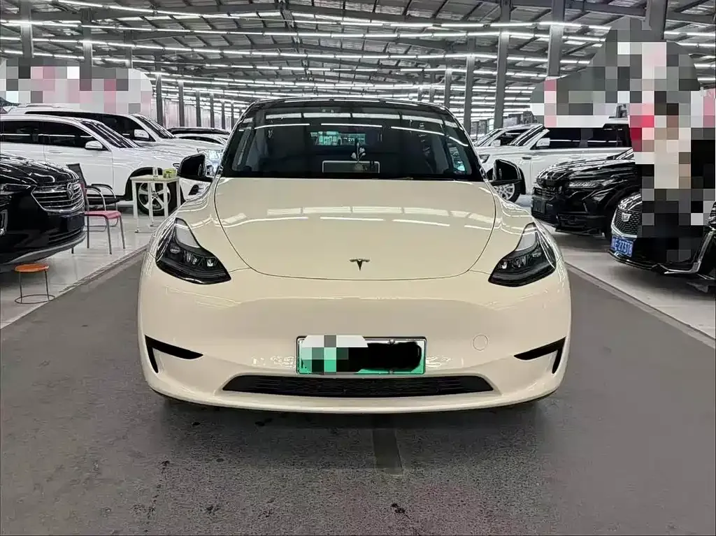 Tesla Model Y — фото 2