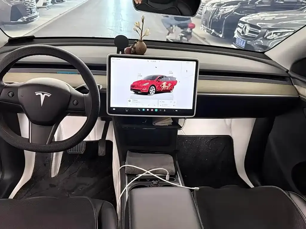 Tesla Model Y — фото 9