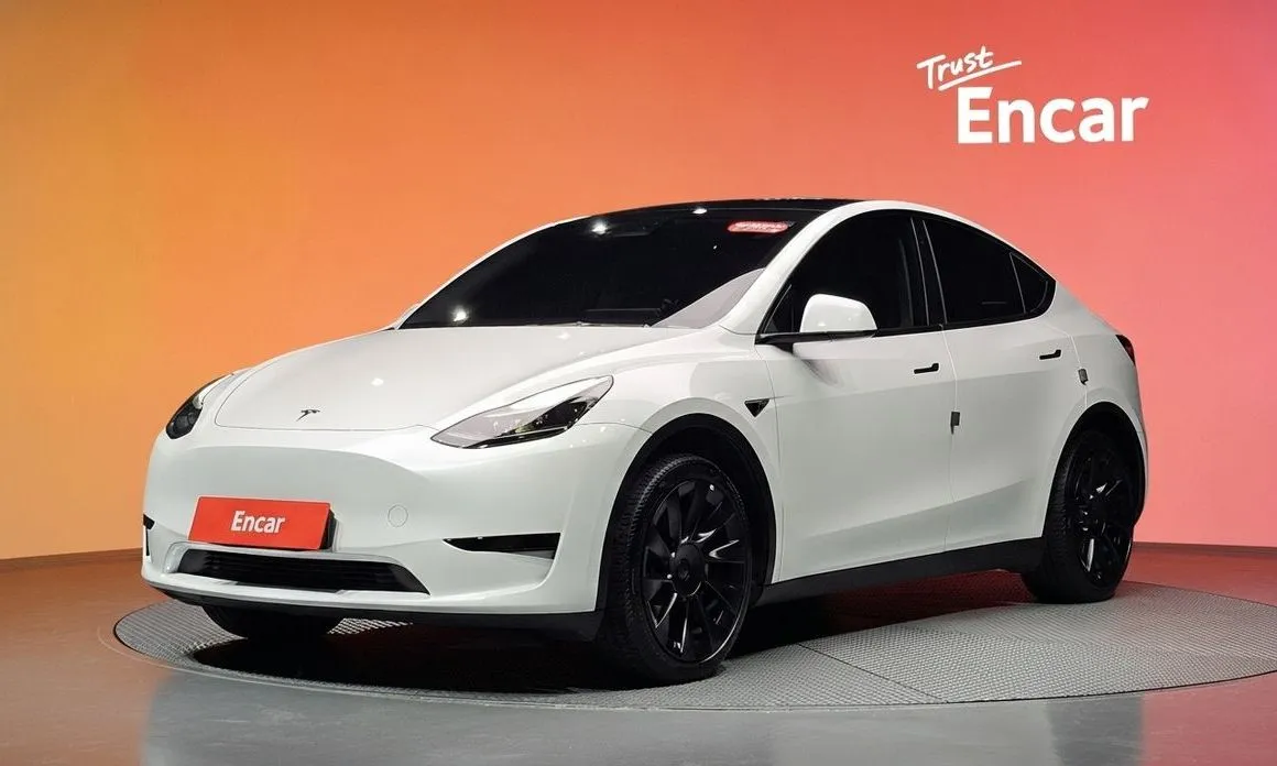 Tesla Model Y — фото 1