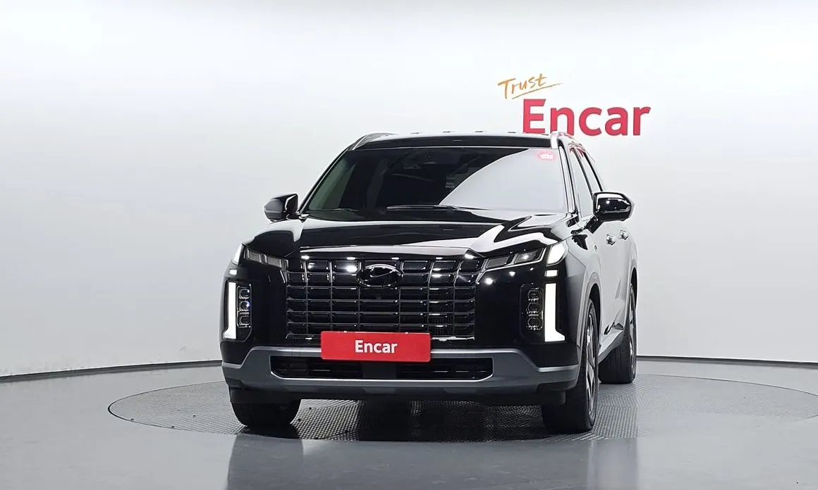 Hyundai Palisade — фото 8