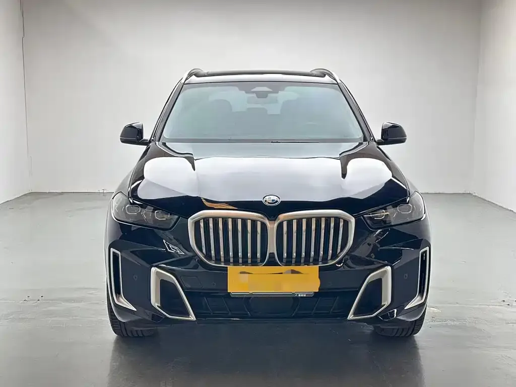 BMW X5 — фото 9