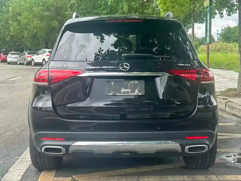 Mercedes-Benz 奔驰GLE(进口) — фото 5