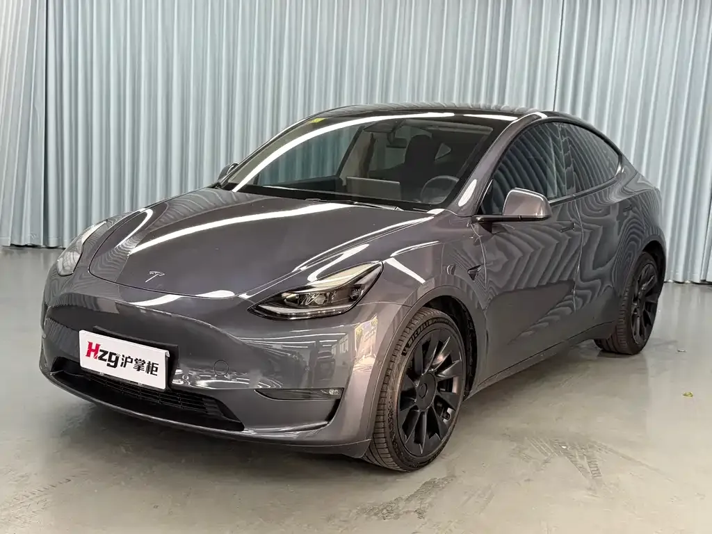 Tesla Model Y — фото 1