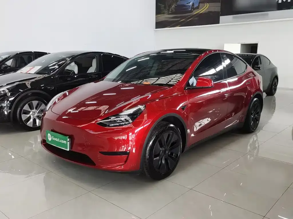 Tesla Model Y — фото 1