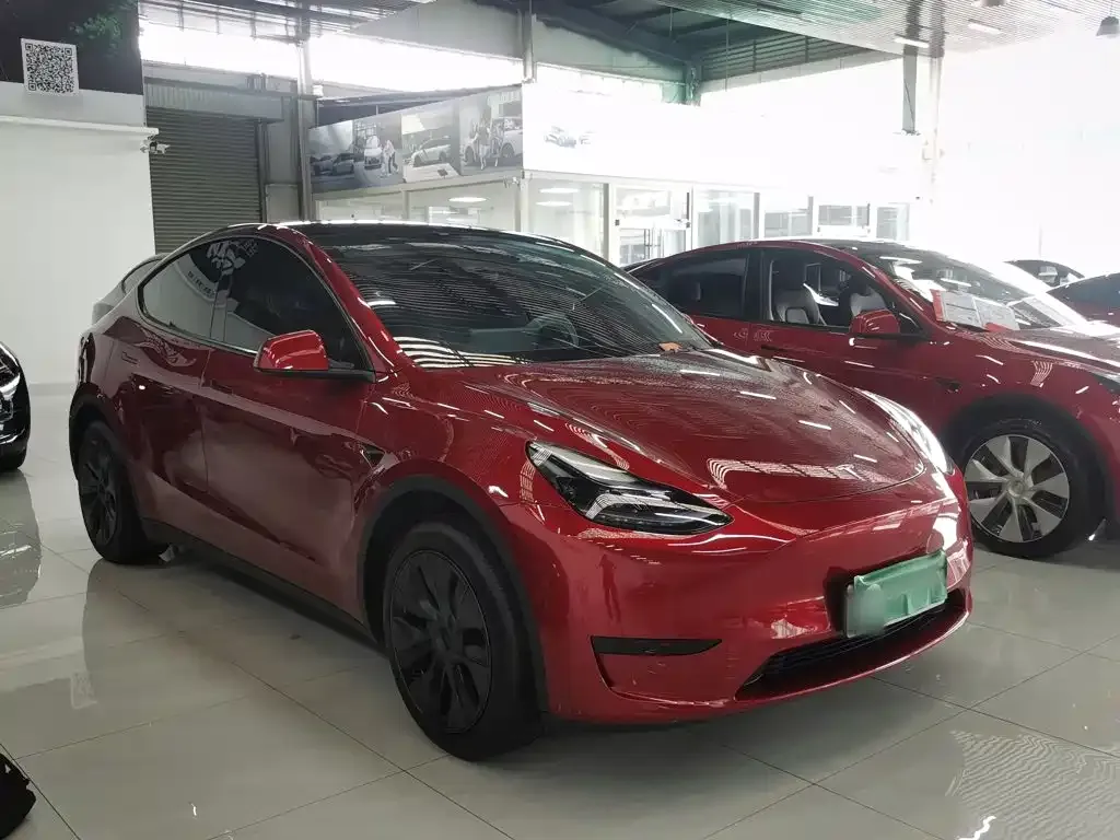 Tesla Model Y — фото 10