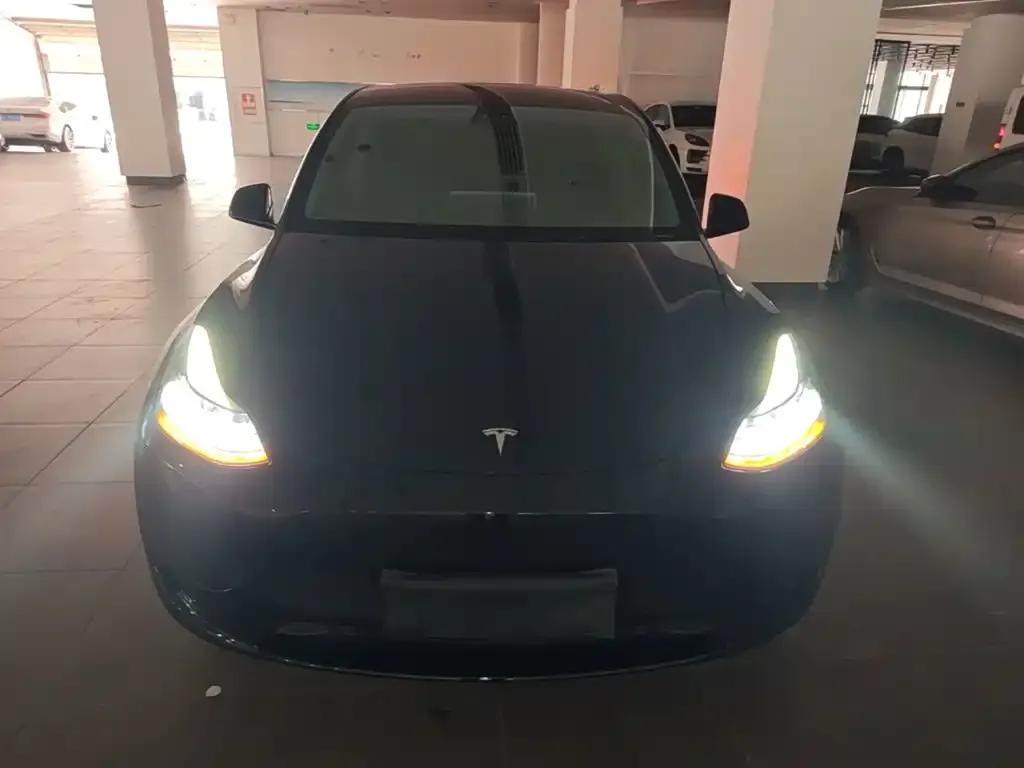 Tesla Model Y — фото 2
