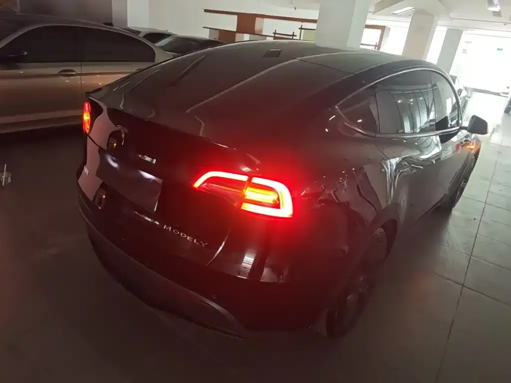 Tesla Model Y — фото 10