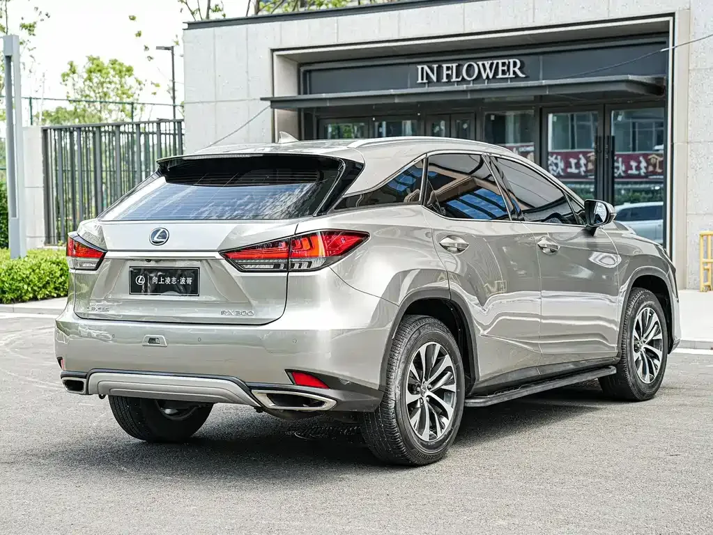 Lexus RX — фото 8