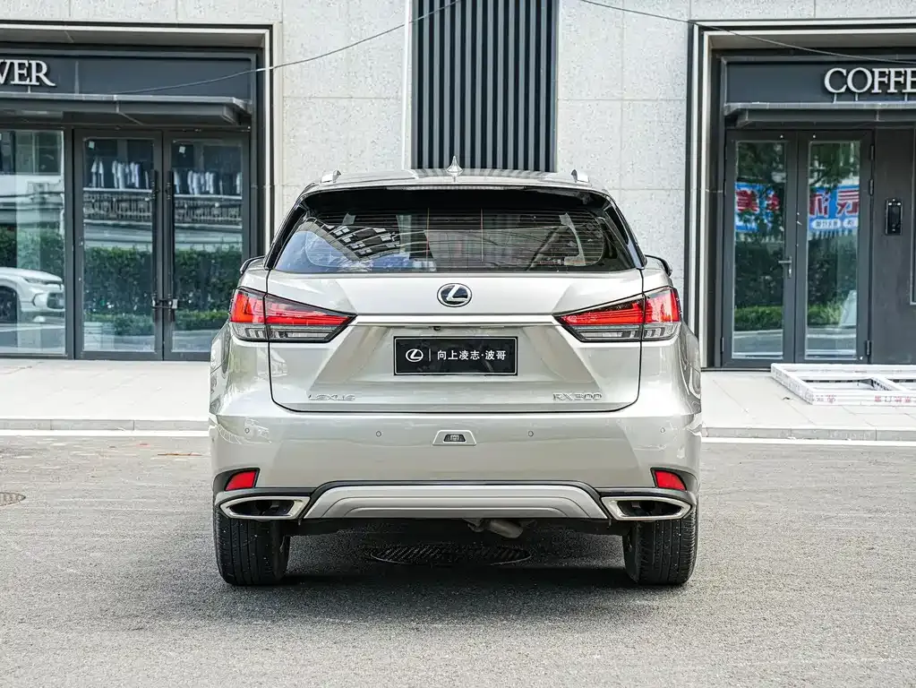 Lexus RX — фото 6