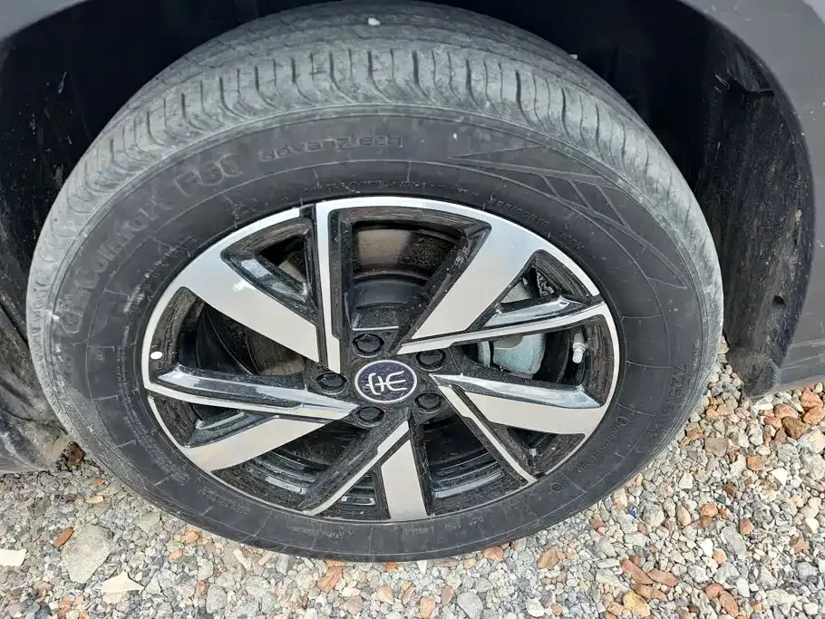 BYD Pro New Energy — фото 10