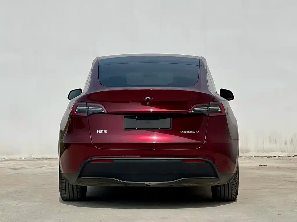 Tesla Model Y — фото 2