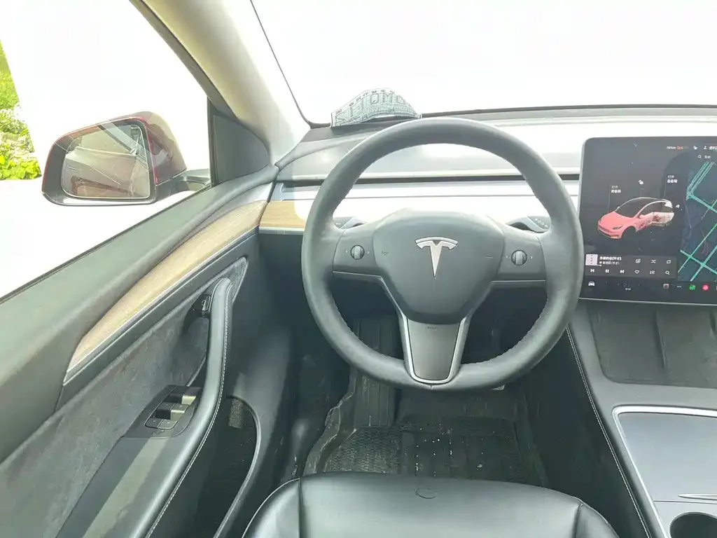 Tesla Model Y — фото 9