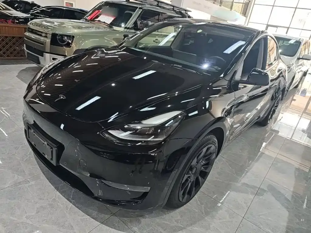 Tesla Model Y — фото 1