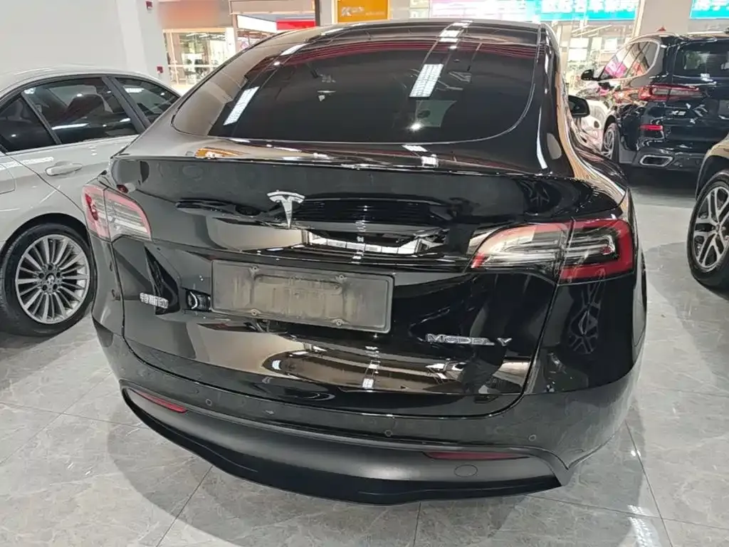 Tesla Model Y — фото 10